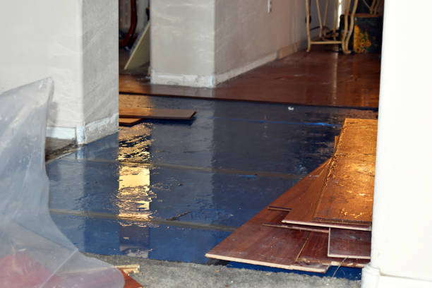Professional Burst Pipe Water Damage technician working in Dime Box, TX